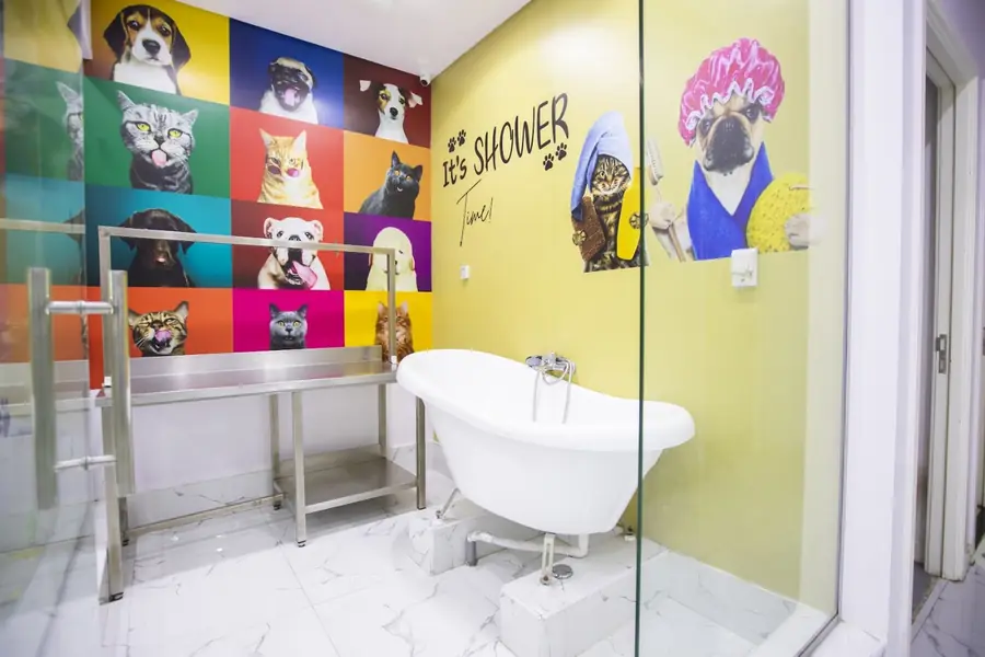 The Petlove wash room with pet showers