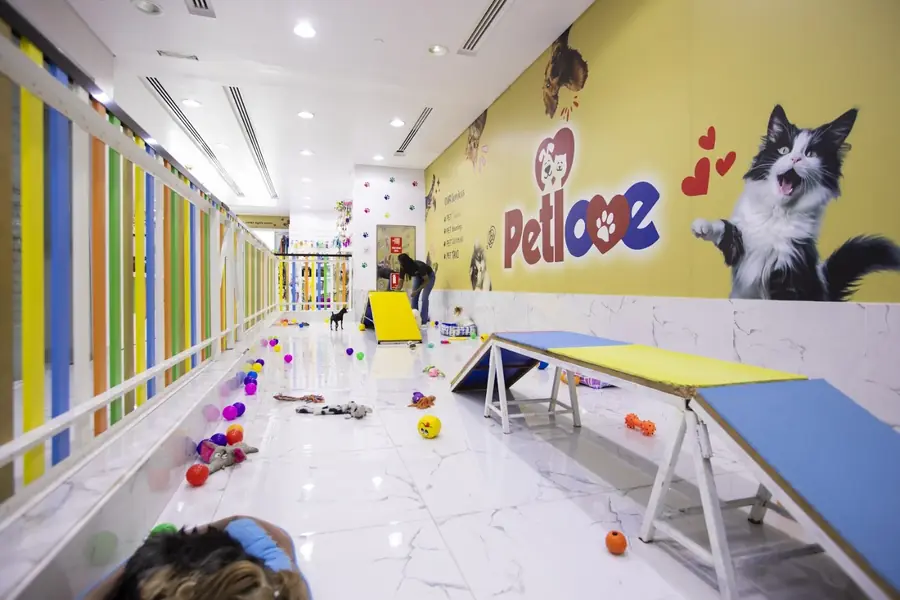 The Petlove daycare play room with a ramp and soft floor